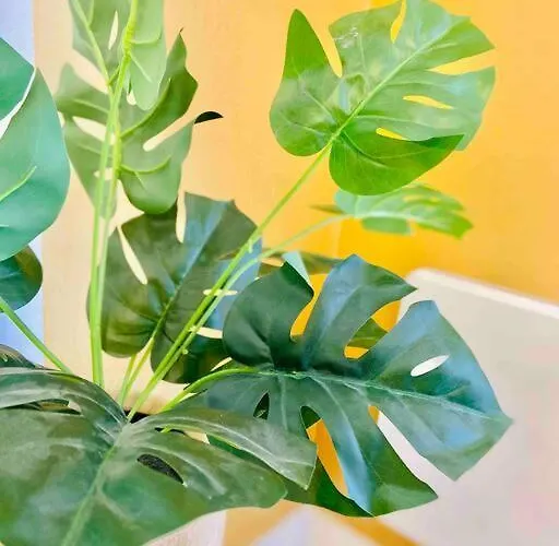 George 5 + Parking Prive Et Securise * Arras